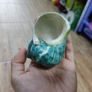 Vỏ ốc xà cừ xanh baby họa tiết ngẫu nhiên cỡ L XL 3XL