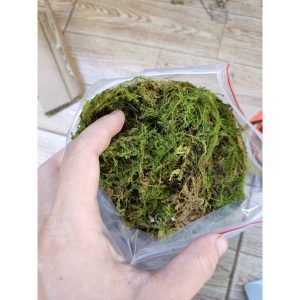 1kg Rêu rừng khô giá sỉ xanh mướt giữ ẩm cho cây, ếch, ốc, nhện,...