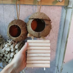 Gáo dừa thang handmade thiết kế dành cho ốc mượn hồn, sóc bay, chuột hamters, pet cưng