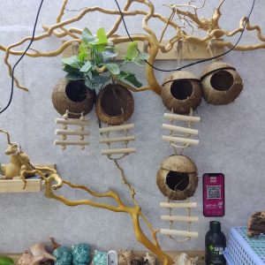 Gáo dừa thang handmade thiết kế dành cho ốc mượn hồn, sóc bay, chuột hamters, pet cưng