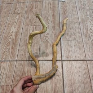 Lũa đỗ quyên loại ngắn trang trí bể cá, đồ chơi leo chèo cho ốc mượn hồn