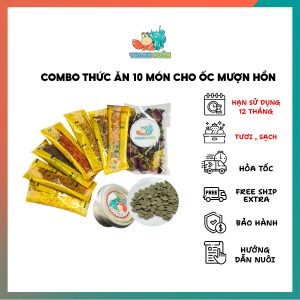 combo thức ăn 10 món