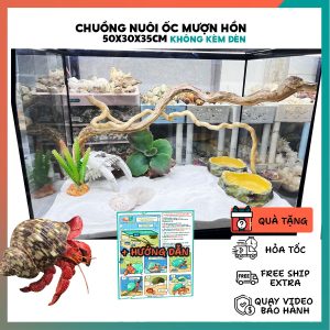 Combo nuôi ốc mượn hồn đầy đủ phụ kiện ( không kèm đèn ) B1679