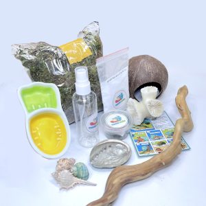 COMBO NUÔI ỐC BÁT CÀ RỐT ( KHÔNG KÈM CHUỒNG )