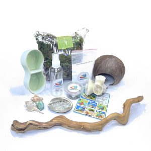 COMBO NUÔI ỐC BÁT XANH 2 NGĂN ( KHÔNG KÈM CHUỒNG )