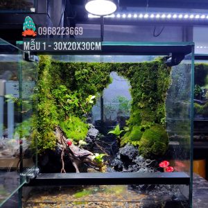 Bể bán cạn nuôi cua ma cà rồng kích thước 30x20x30 - mẫu 01