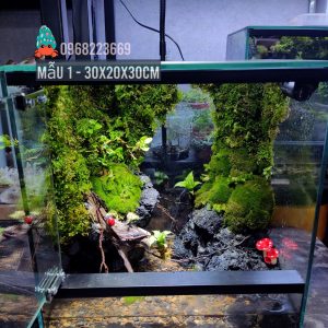 Bể bán cạn nuôi cua ma cà rồng kích thước 30x20x30 - mẫu 01