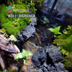 Bể bán cạn nuôi cua ma cà rồng kích thước 30x20x30 - mẫu 01