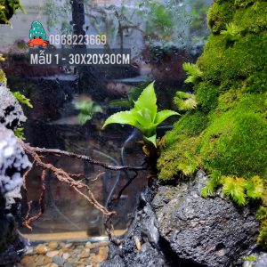 Bể bán cạn nuôi cua ma cà rồng kích thước 30x20x30 - mẫu 01