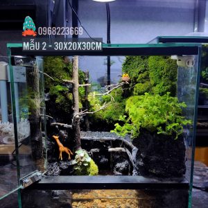 Bể bán cạn chuyên dụng nuôi cua ma cà rồng 30x20x30cm - mẫu 02