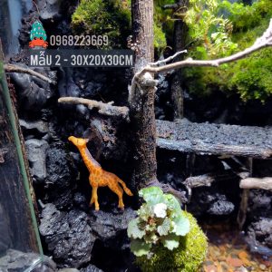 Bể bán cạn chuyên dụng nuôi cua ma cà rồng 30x20x30cm - mẫu 02