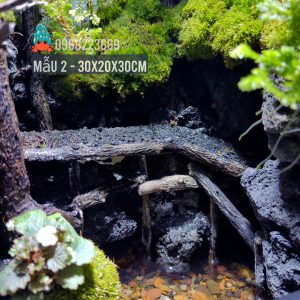 Bể bán cạn chuyên dụng nuôi cua ma cà rồng 30x20x30cm - mẫu 02