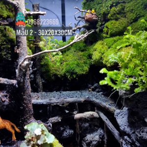 Bể bán cạn chuyên dụng nuôi cua ma cà rồng 30x20x30cm - mẫu 02