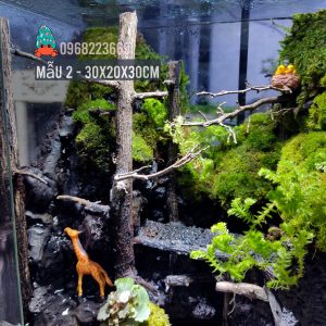 Bể bán cạn chuyên dụng nuôi cua ma cà rồng 30x20x30cm - mẫu 02