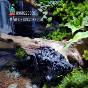 Bể bán cạn chuyên dụng nuôi cua ma cà rồng 30x20x30 cm - mẫu 03