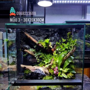 Bể bán cạn chuyên dụng nuôi cua ma cà rồng 30x20x30 cm - mẫu 03