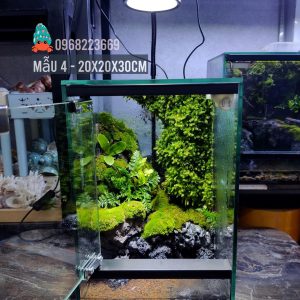 Bể bán cạn chuyên dụng nuôi cua ma cà rồng 20x20x30cm - mẫu 04