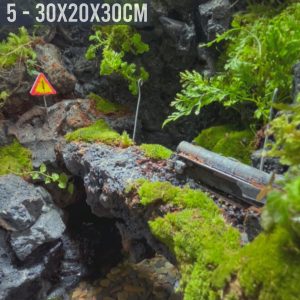 Bể bán cạn chuyên dụng nuôi cua ma cà rồng 30x20x30cm - mẫu 05