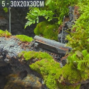 Bể bán cạn chuyên dụng nuôi cua ma cà rồng 30x20x30cm - mẫu 05