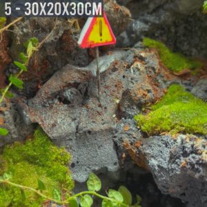 Bể bán cạn chuyên dụng nuôi cua ma cà rồng 30x20x30cm - mẫu 05