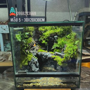 Bể bán cạn chuyên dụng nuôi cua ma cà rồng 30x20x30cm - mẫu 05