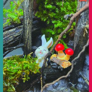 Bể bán cạn chuyên dụng nuôi cua ma cà rồng 30x20x30 cm - mẫu 08