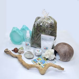 Combo nuôi ốc mượn hồn bat xanh S ( không kèm chuồng nuôi )