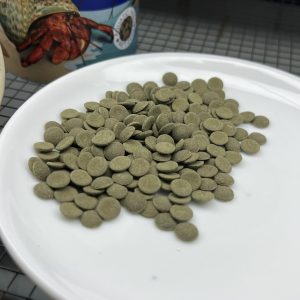 Thức ăn chuyên dụng cho ốc mượn hồn