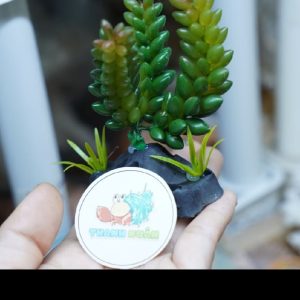 Cây giả trang trí QM48