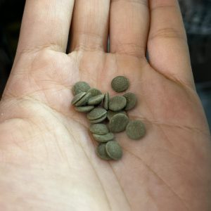 Thức ăn chuyên dụng cho ốc mượn hồn