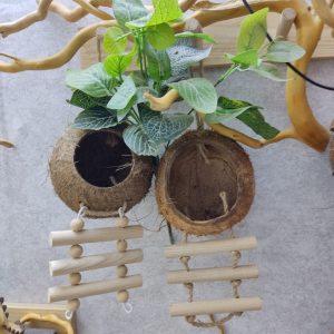 Gáo dừa thang handmade thiết kế dành cho ốc mượn hồn, sóc bay, chuột hamters, pet cưng