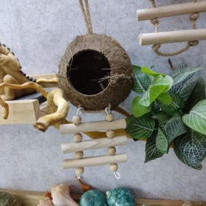 Gáo dừa thang handmade thiết kế dành cho ốc mượn hồn, sóc bay, chuột hamters, pet cưng