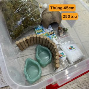 COMBO nuôi ốc mượn hồn baby ,xs ,s , M 45CM - Mã HN-250