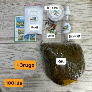 combo nuôi ốc mượn hồn baby không kèm chuồng - mã KB-130