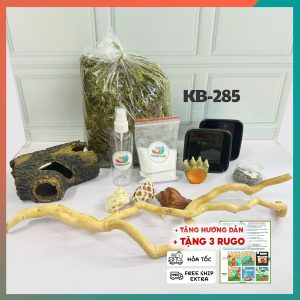 Combo nuôi ốc baby xs không kèm chuồng - mã KB-285