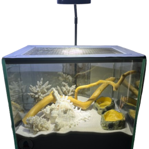 Combo nuôi ốc mượn hồn đầy đủ phụ kiện ( không kèm đèn ) MS4