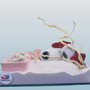 Combo nuôi ốc mượn hồn đầy đủ phụ kiện ( không kèm đèn ) MS5