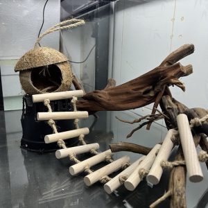 Hang trú gáo dừa thang 10 thanh gỗ