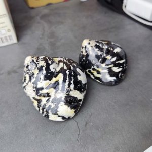 Vỏ ốc da rắn cỡ L XL họa tiết mẫu nhiên màu đen trắng trang trí bể cá, phụ kiện chụp ảnh