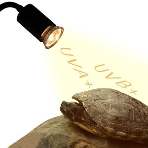 Đèn uva uvb chống cháy sưởi ấm cho bò sát hấp thu vitamin D