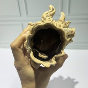 Hang trú ẩn cho ốc mượn hồn, cá  nhỏ màu xám chống thấm nước, chống lật đổ ( không kèm cây )