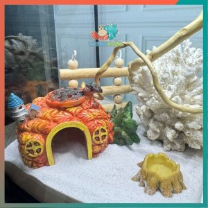 Combo nuôi ốc mượn hồn đầy đủ phụ kiện ( không kèm đèn ) B930