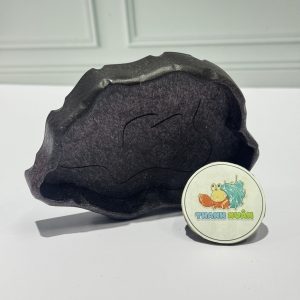 Đĩa thức ăn bát đựng nước màu đen