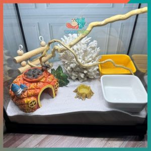 Combo nuôi ốc mượn hồn đầy đủ phụ kiện ( không kèm đèn ) B930