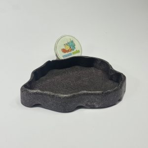 Đĩa thức ăn bát đựng nước màu đen