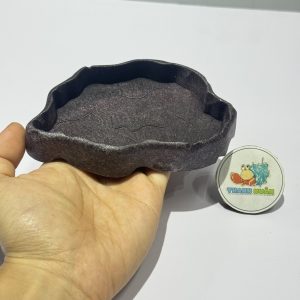 Đĩa thức ăn bát đựng nước màu đen