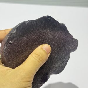 Đĩa thức ăn bát đựng nước màu đen