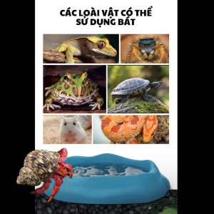 COMBO 2 Bát ăn chén nước màu xanh có thể kết hợp 2 cái làm bát ăn chống kiến