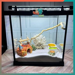 Combo nuôi ốc mượn hồn đầy đủ phụ kiện ( không kèm đèn ) B880-1