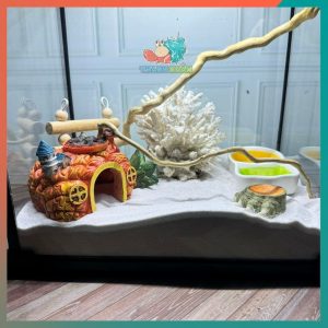 Combo nuôi ốc mượn hồn đầy đủ phụ kiện ( không kèm đèn ) B880-1